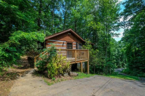 Romantic & Cozy 1BR HOT TUB! FREE Attraction Tickets